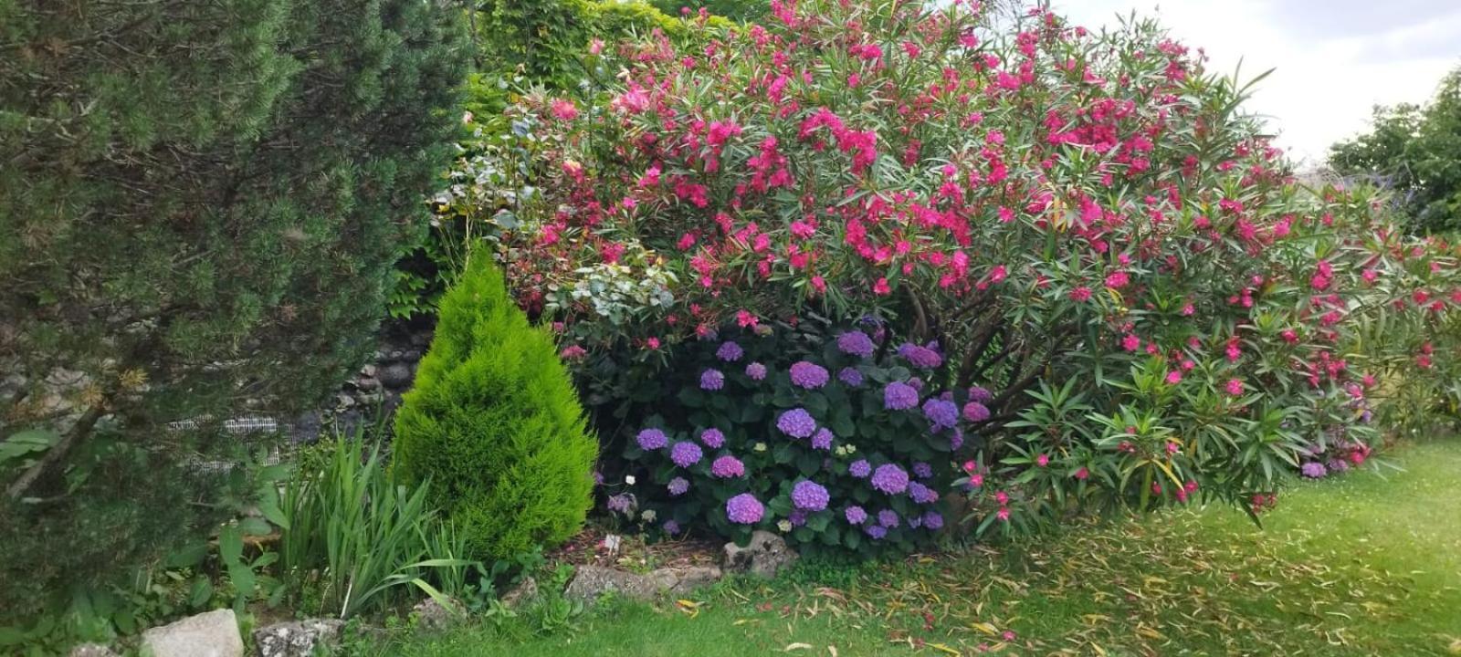 Gite 5 "Le Laurus" Aux Magnolias Aubenas Ngoại thất bức ảnh