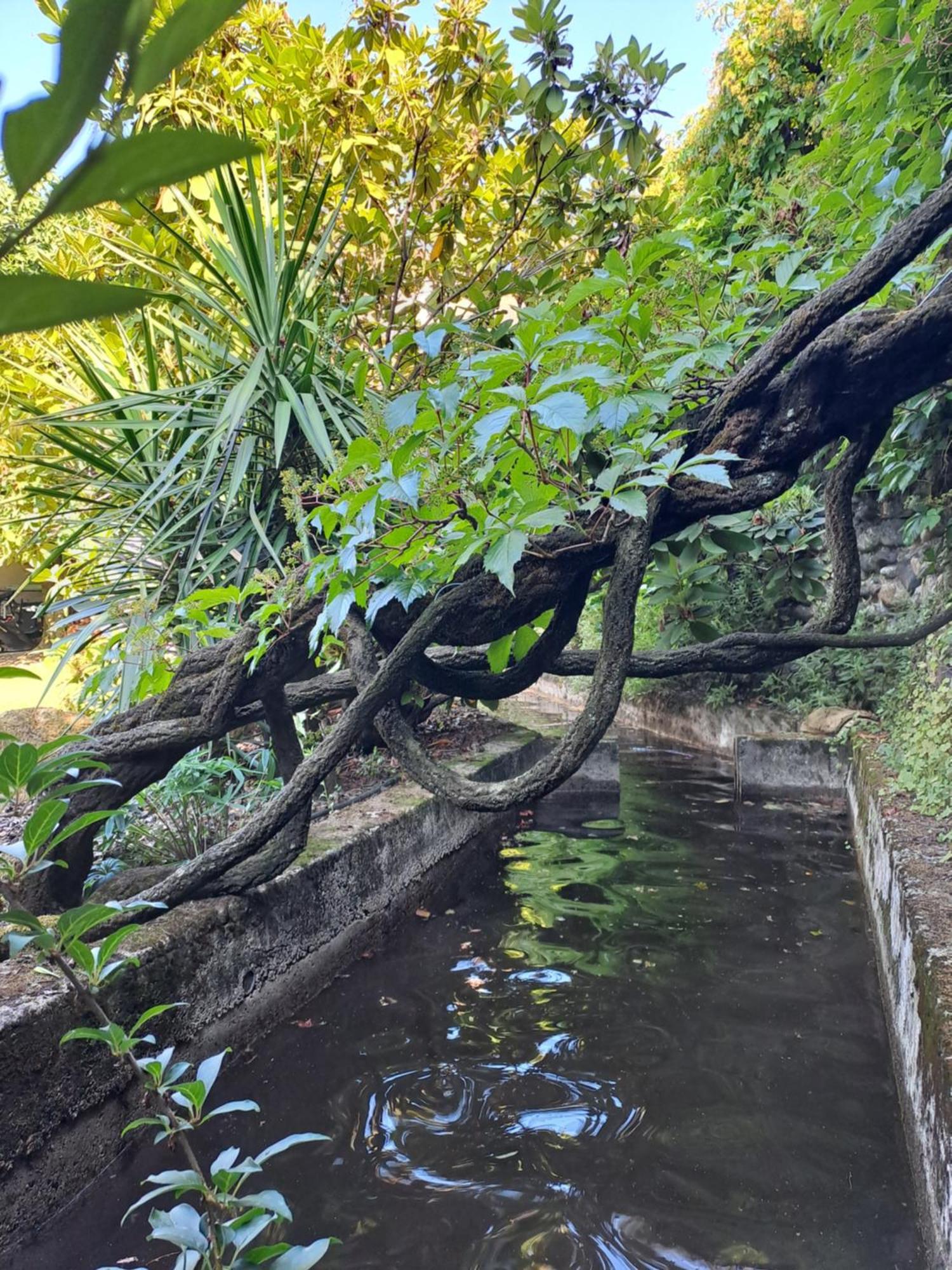 Gite 5 "Le Laurus" Aux Magnolias Aubenas Ngoại thất bức ảnh