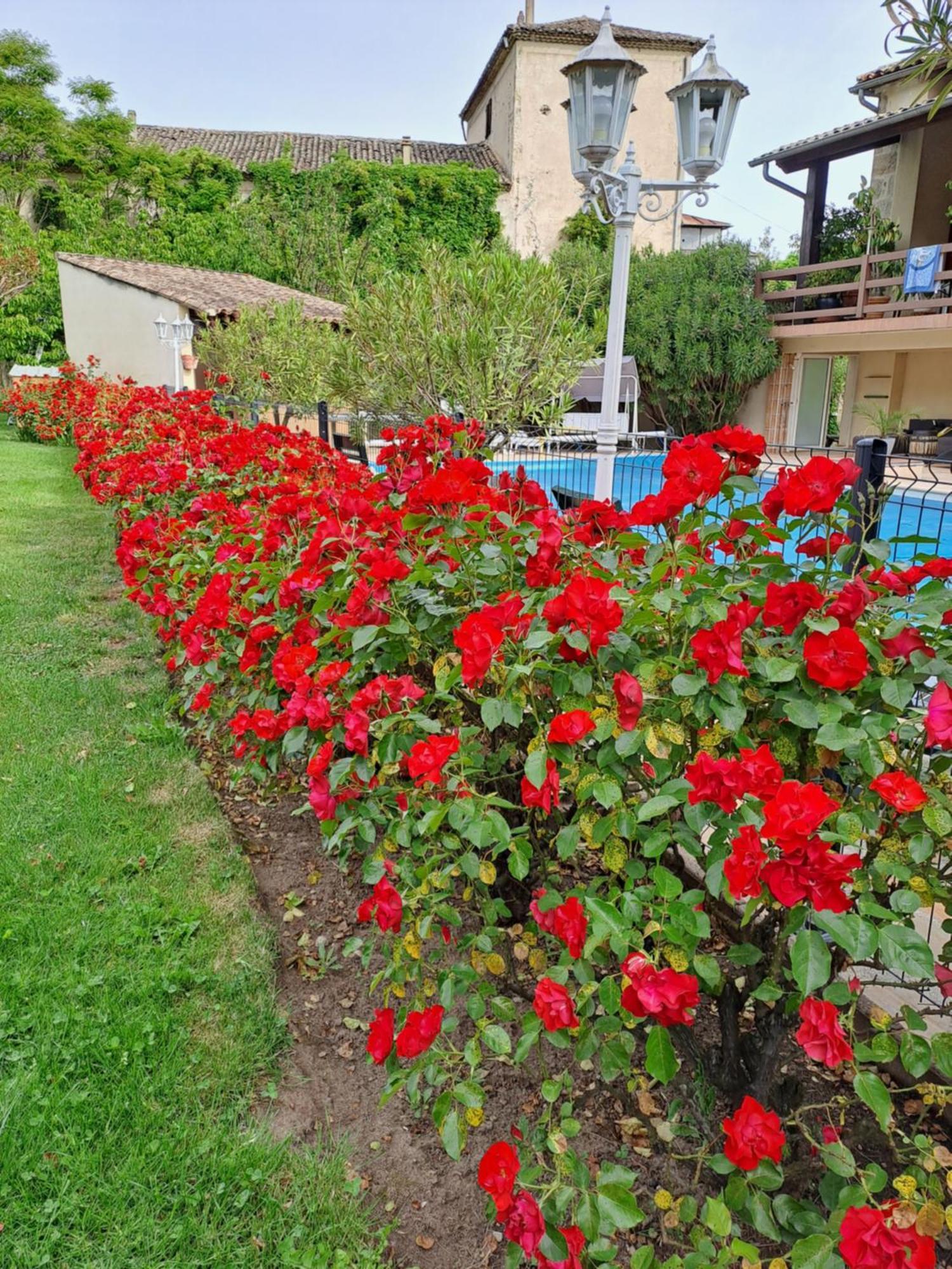 Gite 5 "Le Laurus" Aux Magnolias Aubenas Ngoại thất bức ảnh